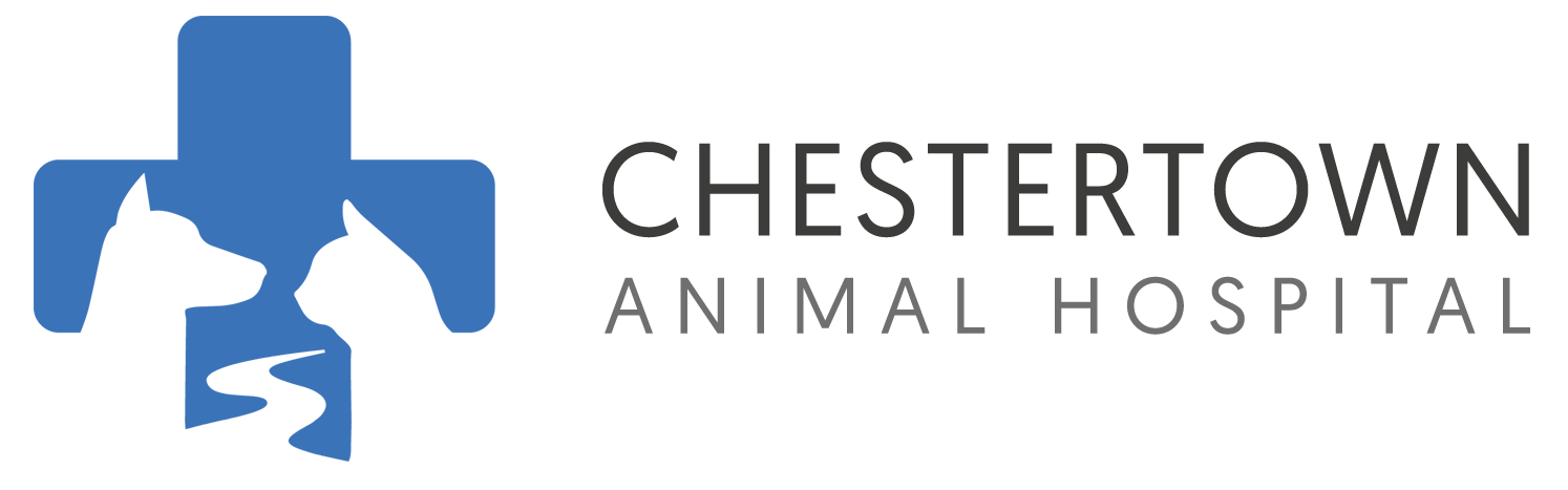 Chestertown Animal Hospital